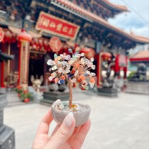 香港黃大仙加持招財水晶樹