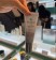 韓國REJURAN麗珠蘭防曬隔離霜SPF50十PA十十十 40ml